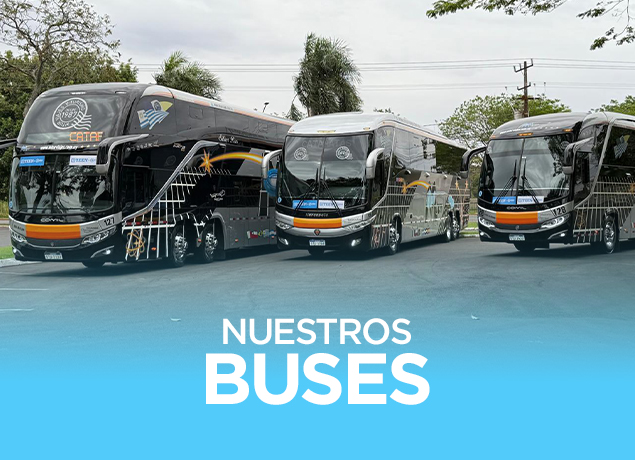 Nuestros buses